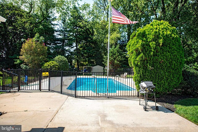 view of pool featuring a shed and a patio