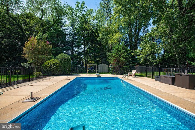 view of swimming pool with a diving board, a shed, and a patio