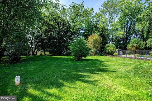 view of yard with a storage shed