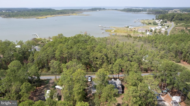 817 Seabreeze Rd, Cambridge, MD 21613 - bird's eye view featuring a water view and a forest view