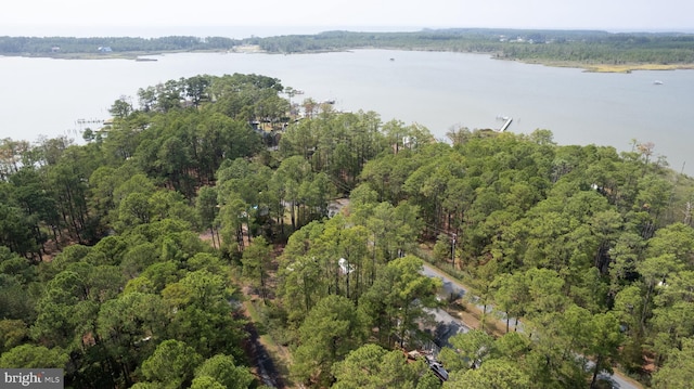 817 Seabreeze Rd, Cambridge, MD 21613 - drone / aerial view featuring a water view and a forest view