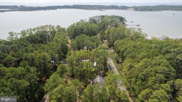 817 Seabreeze Rd, Cambridge, MD 21613 - aerial view featuring a water view and a view of trees