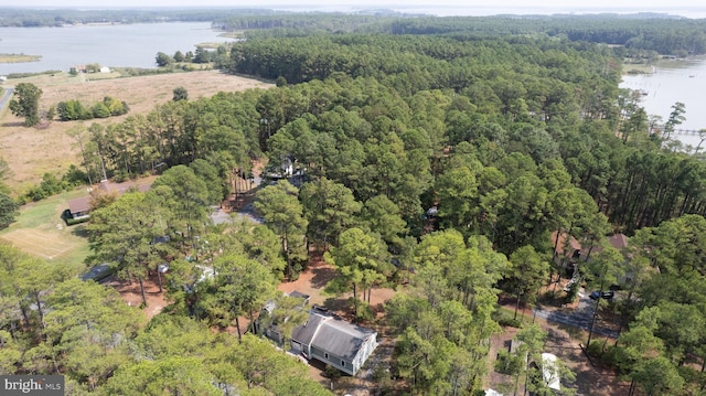 817 Seabreeze Rd, Cambridge, MD 21613 - drone / aerial view featuring a water view and a view of trees