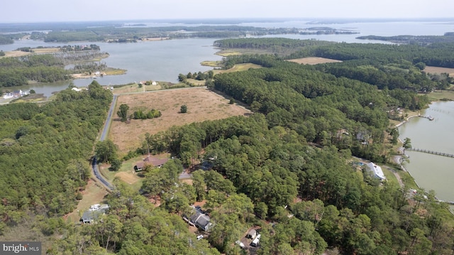 817 Seabreeze Rd, Cambridge, MD 21613 - aerial view featuring a water view and a view of trees