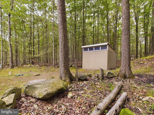 view of yard with a storage unit