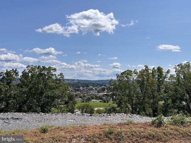 view of mountain feature