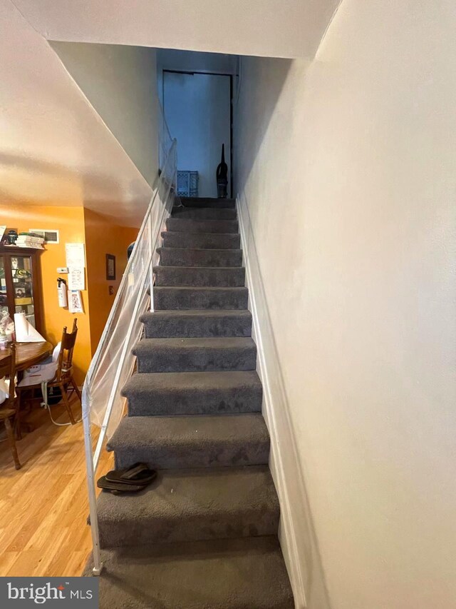 staircase featuring hardwood / wood-style floors