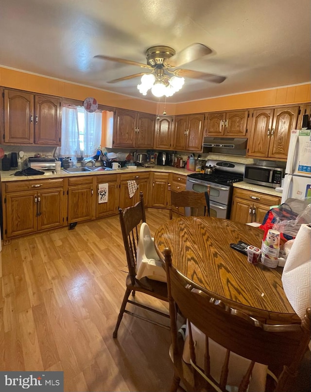 kitchen featuring light wood-type flooring, exhaust hood, sink, ceiling fan, and appliances with stainless steel finishes