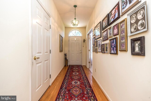 doorway with wood-type flooring