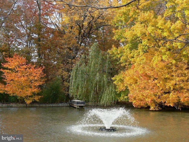 view of water feature