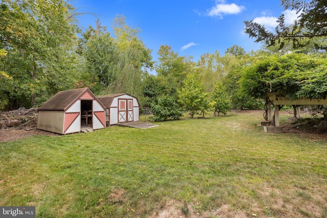 view of yard featuring a storage shed