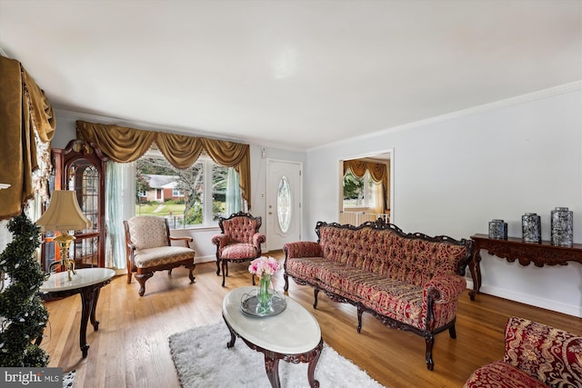 living room featuring light hardwood / wood-style floors and ornamental molding