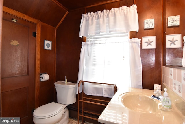 bathroom with vanity, toilet, and wooden walls