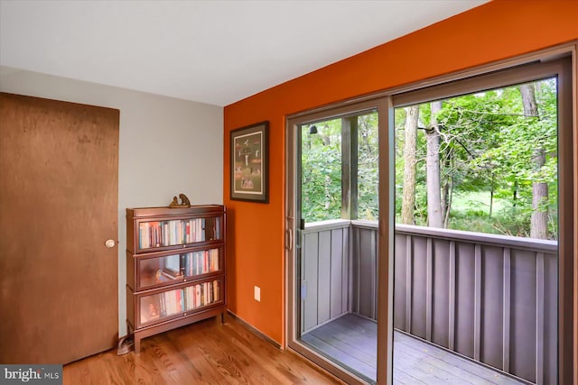 doorway with light hardwood / wood-style floors