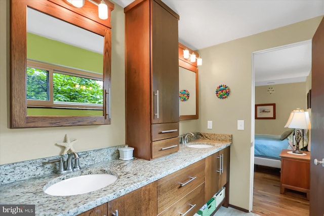 bathroom featuring wood-type flooring and vanity