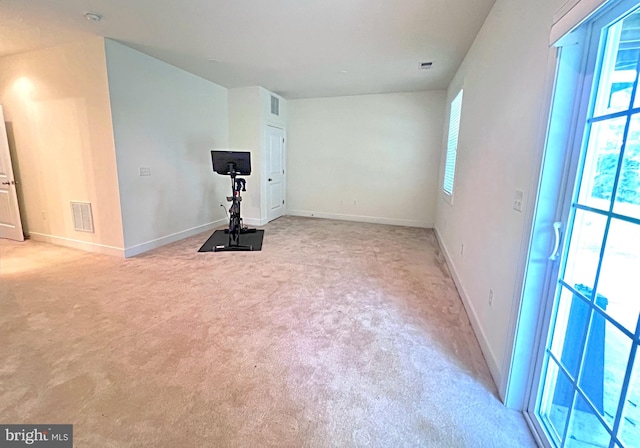 workout area with light colored carpet and a healthy amount of sunlight