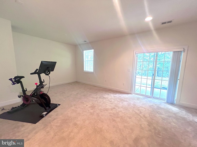 exercise room featuring carpet floors