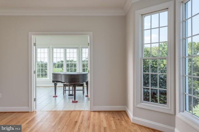 interior space featuring light wood-type flooring and crown molding