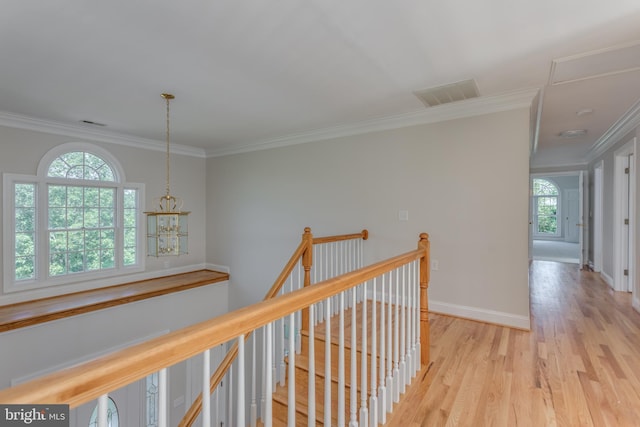 corridor with ornamental molding, light hardwood / wood-style flooring, and an inviting chandelier