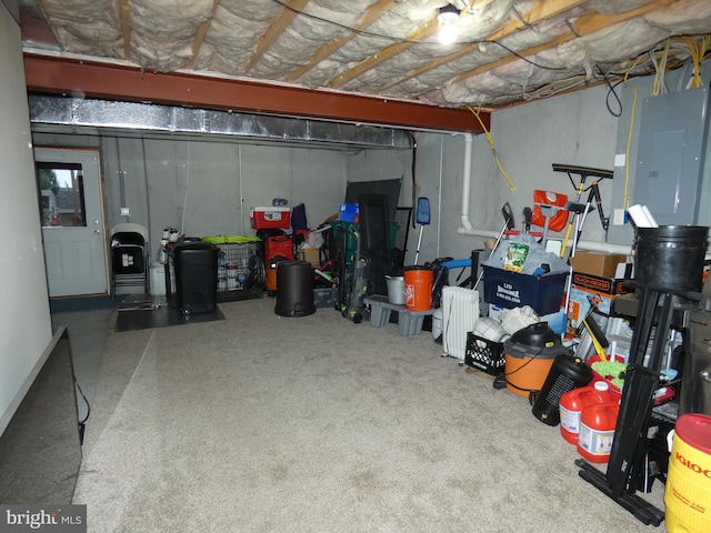 basement with electric panel