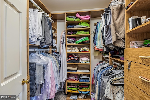 view of spacious closet