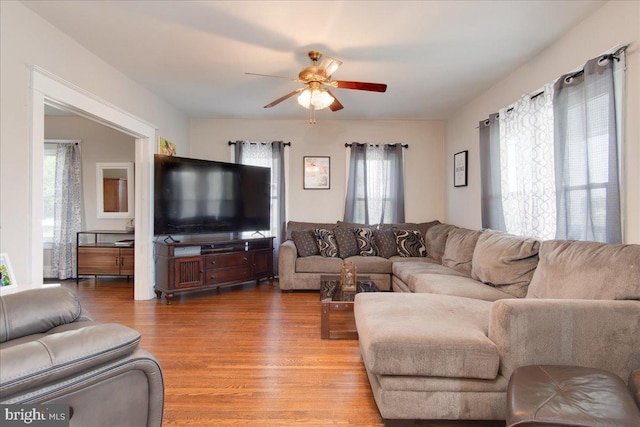 living room with wood-type flooring and ceiling fan