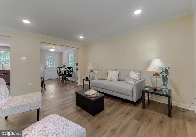 living room with crown molding, sink, and hardwood / wood-style floors