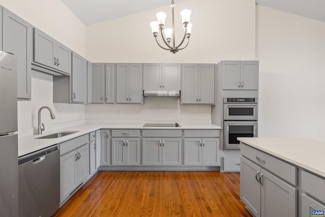 kitchen featuring stainless steel appliances, gray cabinets, and a sink