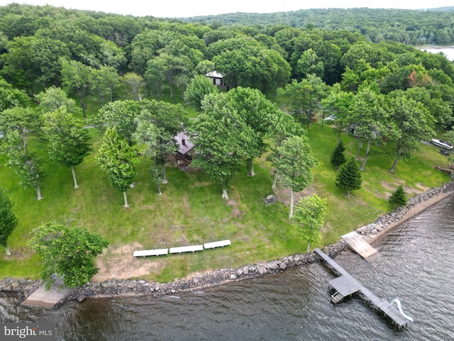 birds eye view of property featuring a water view and a wooded view