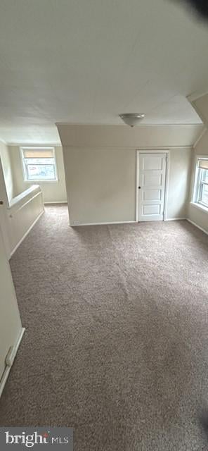 bonus room featuring carpet flooring