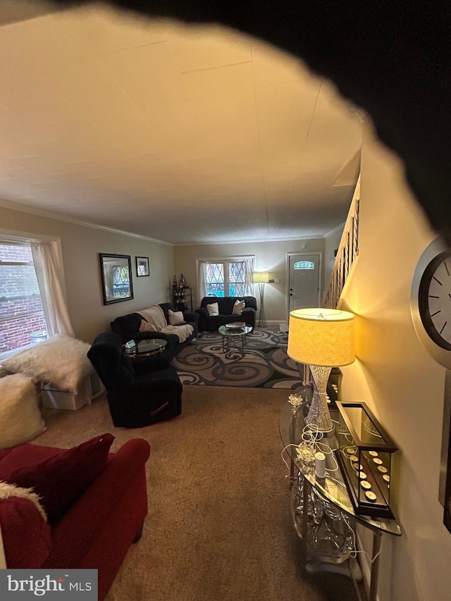 carpeted living room featuring crown molding