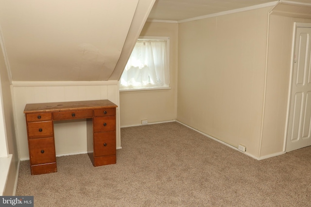 bonus room featuring light carpet