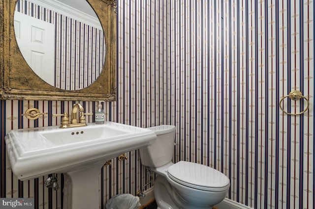 bathroom with ornamental molding and toilet