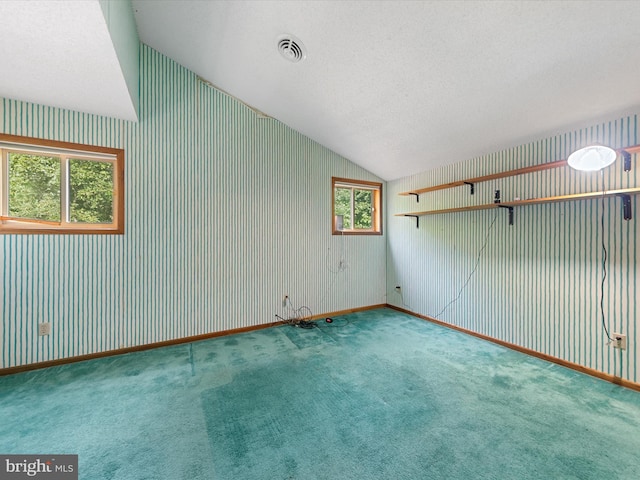 empty room featuring a textured ceiling, a healthy amount of sunlight, carpet, and lofted ceiling