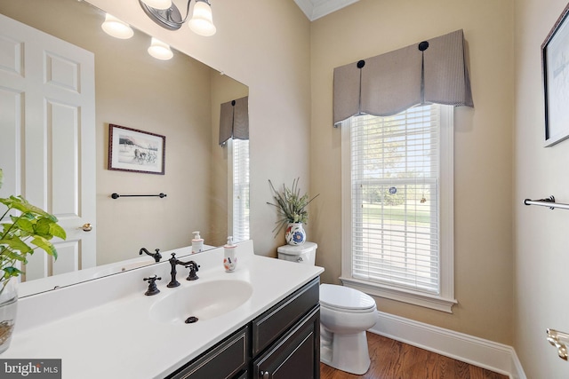 bathroom featuring vanity, toilet, and wood-type flooring