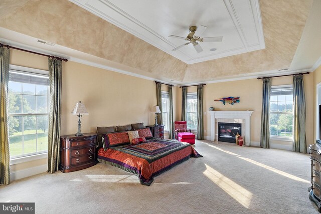 bedroom featuring ornamental molding, a raised ceiling, ceiling fan, and carpet floors