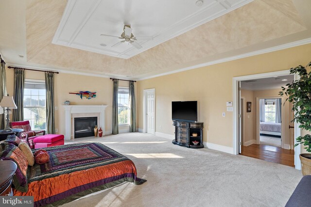 carpeted living room with a tray ceiling, a wealth of natural light, and ceiling fan