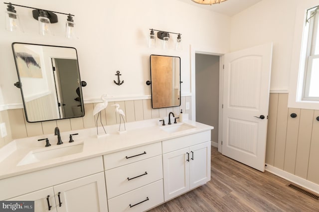 bathroom featuring wood-type flooring and vanity