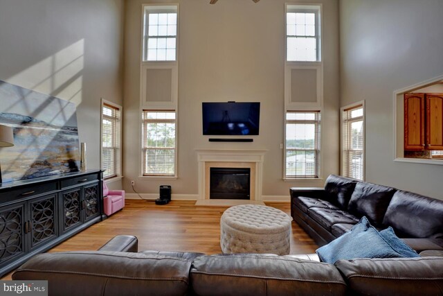 living area featuring wood finished floors, plenty of natural light, and a glass covered fireplace