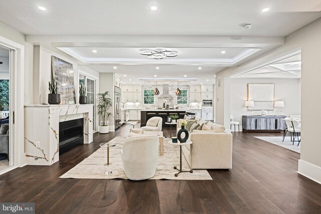 living room featuring dark hardwood / wood-style floors and a tray ceiling