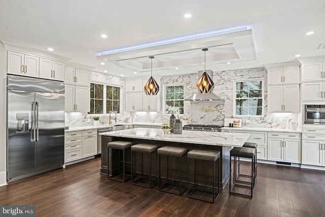 kitchen with a raised ceiling, appliances with stainless steel finishes, a sink, ventilation hood, and a kitchen breakfast bar