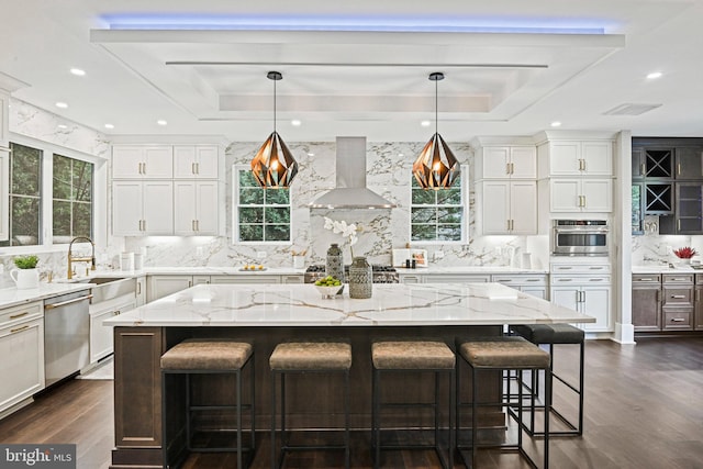 kitchen with extractor fan, stainless steel appliances, a raised ceiling, and a sink