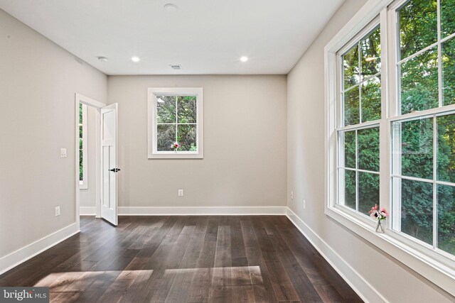 empty room with a wealth of natural light and dark wood-type flooring