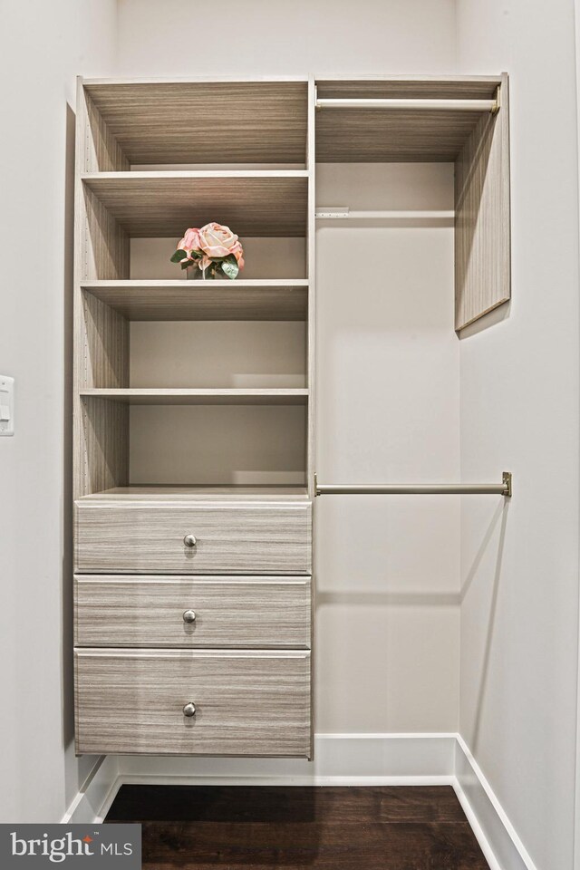 view of closet