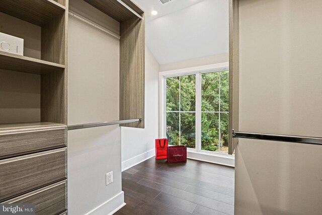 spacious closet with lofted ceiling and dark hardwood / wood-style flooring