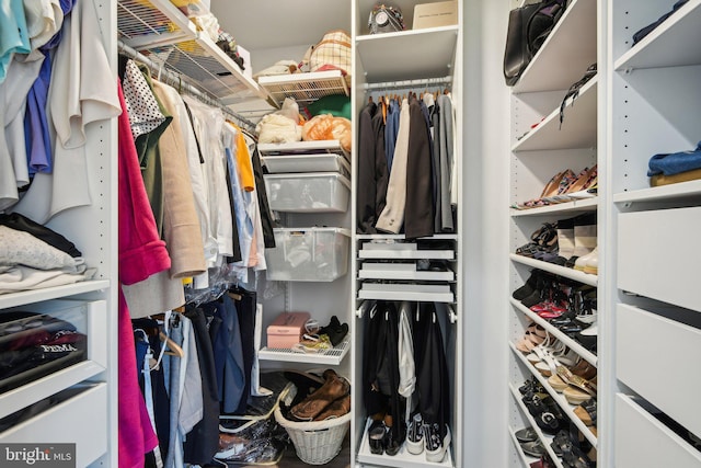 view of spacious closet