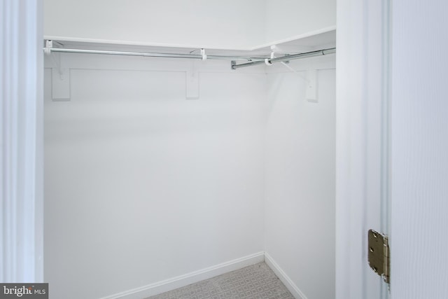 view of walk in closet