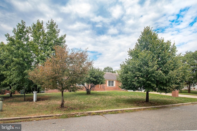 view of property hidden behind natural elements with a front lawn