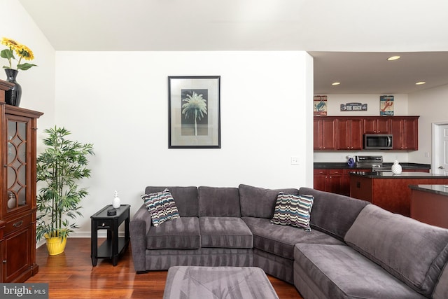 living room with dark wood-type flooring