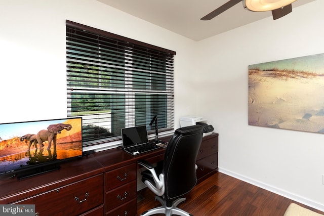 office area featuring ceiling fan and dark hardwood / wood-style flooring